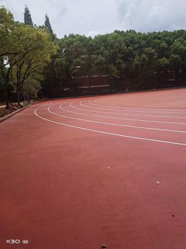 株洲北大艺术学院新国标混合型自结纹塑胶跑道